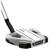 TaylorMade Golf Taylormade Spider EX Platinum/White Flow Neck Putter
